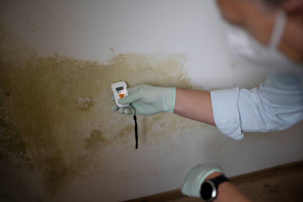 Best Emergency Mold Removal  in Villa Rica, GA