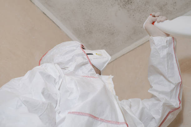 Best Black Mold Removal  in Villa Rica, GA
