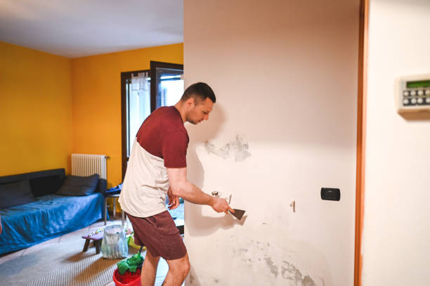 Trusted Villa Rica, GA Mold Removal Experts