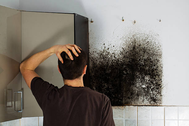 Best Crawl Space Mold Removal  in Villa Rica, GA