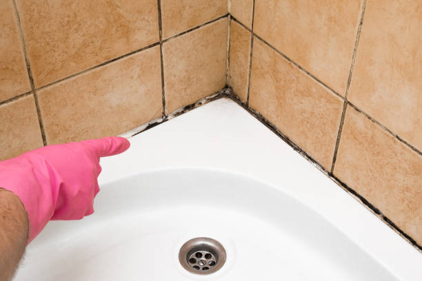 Best Mold Removal Specialists  in Villa Rica, GA